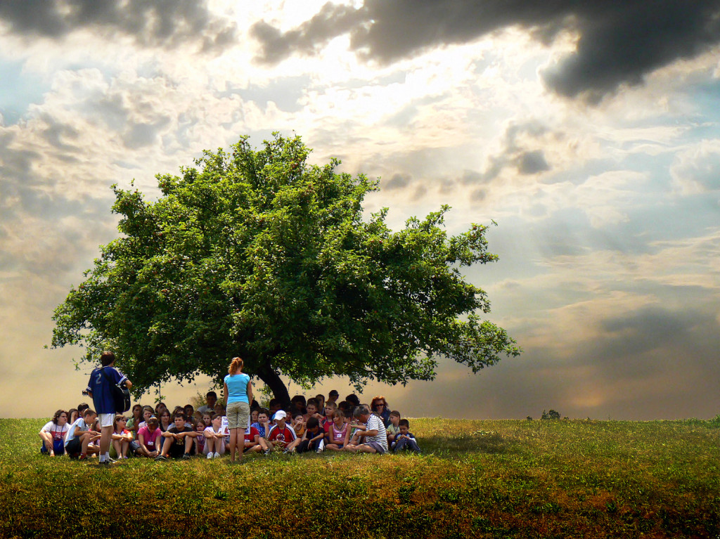 Kids Under A Tree